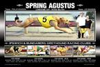 Spring Agustus