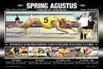 Spring Agustus - 4 in a row