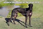 Ipswich GOY 1024 - Spring Entry
