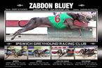 Zabdon Bluey - 4 in a row